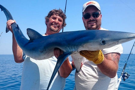 Pecher requin en bateau
