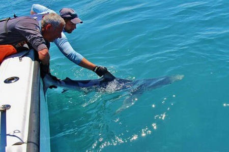 Journée pêche sportive no-kill