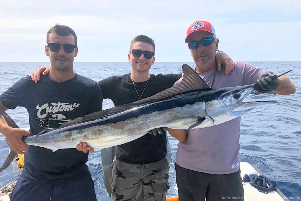 Pêcher le marlin Pêche au marlin aux Stes Maries de la Mer