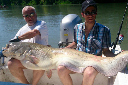 Pêcher silure dans le rhone