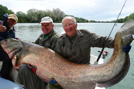 Pêche silure Stes Maries