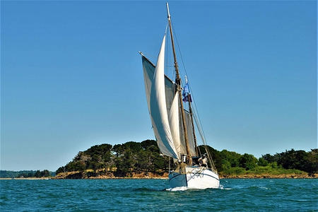 Demi-journée vieux gréement Golfe Morbihan