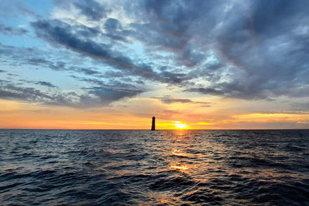 Pêche au leurres Ars en Ré