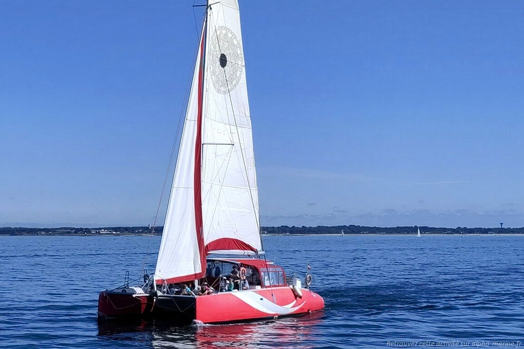 Ile de Groix, balade, soirée Catamaran à Lorient. Nouveauté 2025