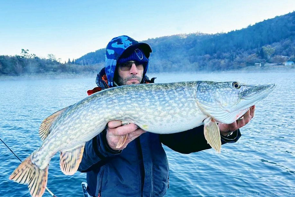Pêcher le carnassier Pêche sur le Lac de St Cassien. Nouveauté 2025