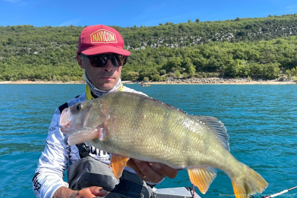Pêcher le carnassier Pêche sur le Lac de Ste Croix. Nouveauté 2025