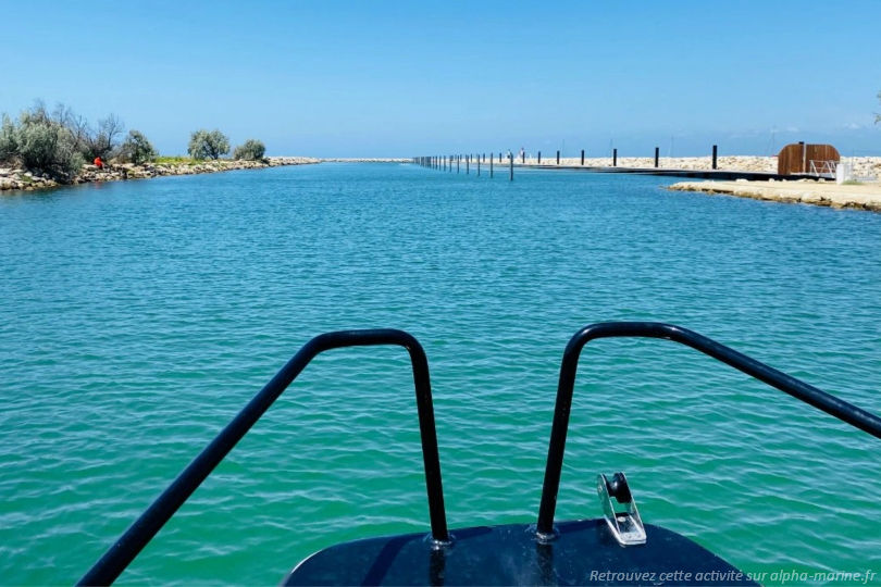 Excursions Port Camargue. Nouveau