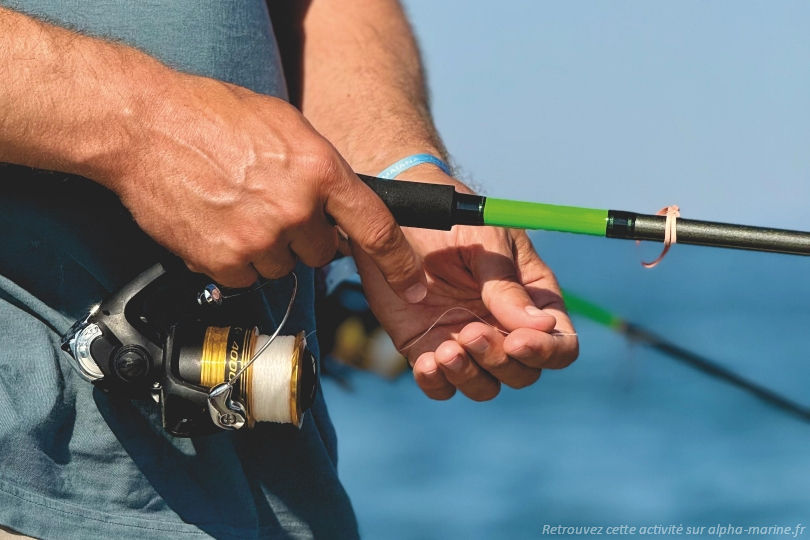 Pêche Port Camargue. Nouveau